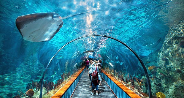 Loro Parque tunnel